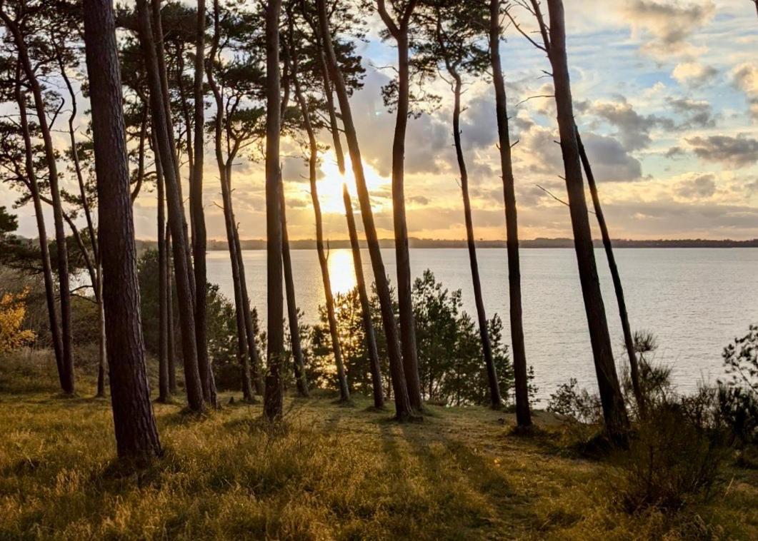 Tallskog - Dein Apartment Am Naturstrand Hohen Wieschendorf Hohenkirchen  Exterior foto