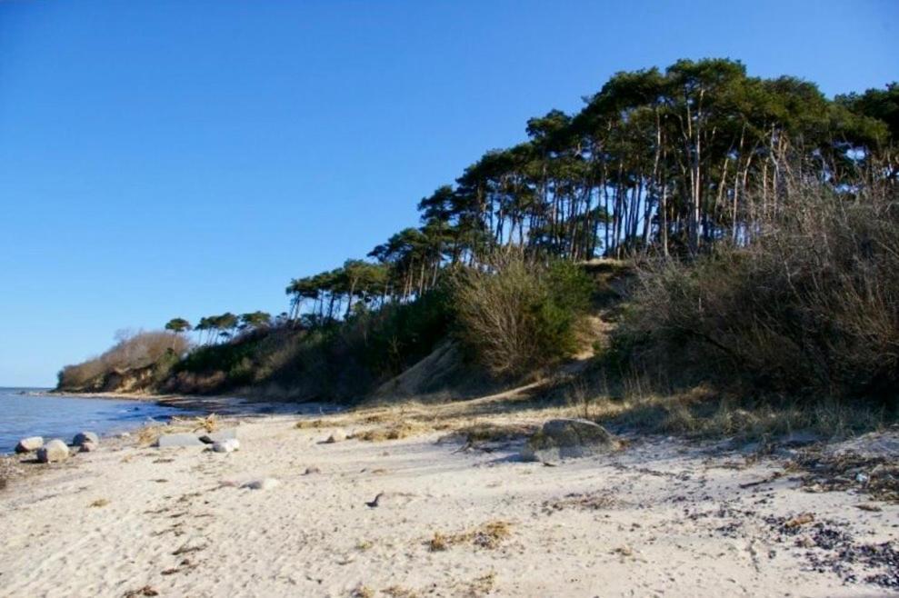 Tallskog - Dein Apartment Am Naturstrand Hohen Wieschendorf Hohenkirchen  Exterior foto